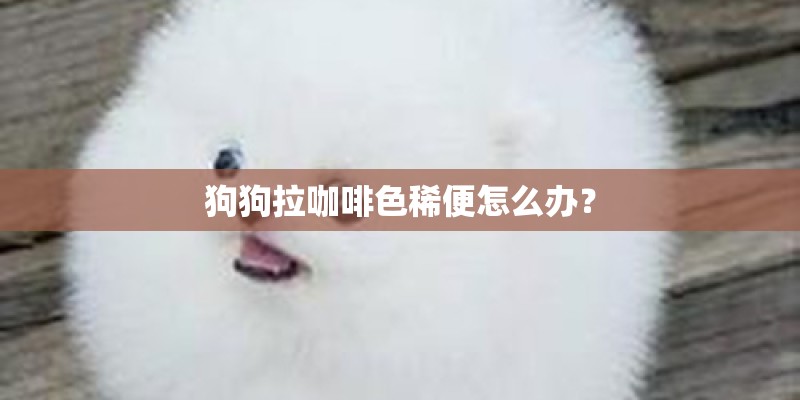 狗狗拉咖啡色稀便怎么办？