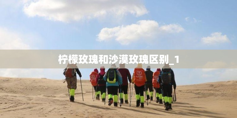 柠檬玫瑰和沙漠玫瑰区别_1