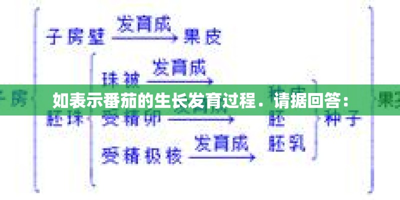 如表示番茄的生长发育过程．请据回答：