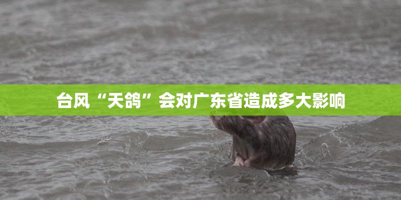 台风“天鸽”会对广东省造成多大影响