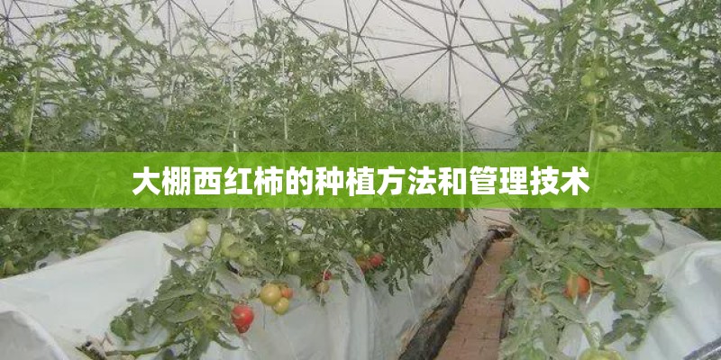 太阳能庭院灯价格举例 产品照明半径介绍