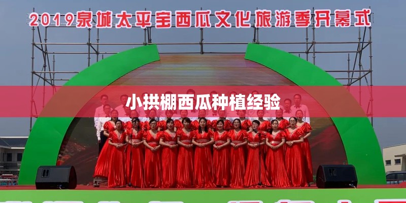小拱棚西瓜种植经验