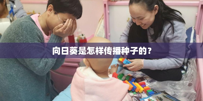 向日葵是怎样传播种子的？