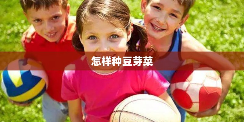 怎样种豆芽菜