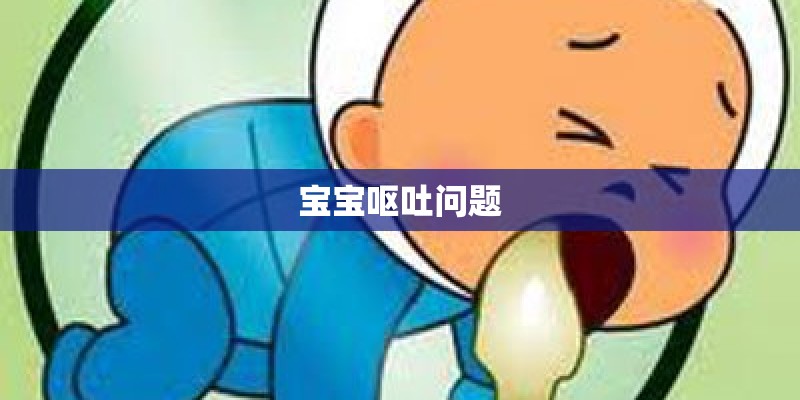 宝宝呕吐问题