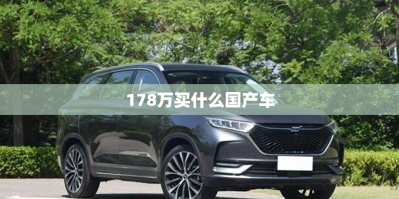 178万买什么国产车