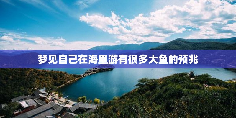 梦见自己在海里游有很多大鱼的预兆