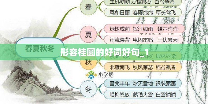 形容桂圆的好词好句_1