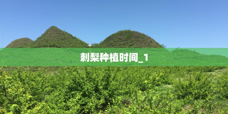 刺梨种植时间_1