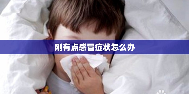 刚有点感冒症状怎么办
