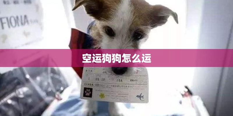 空运狗狗怎么运