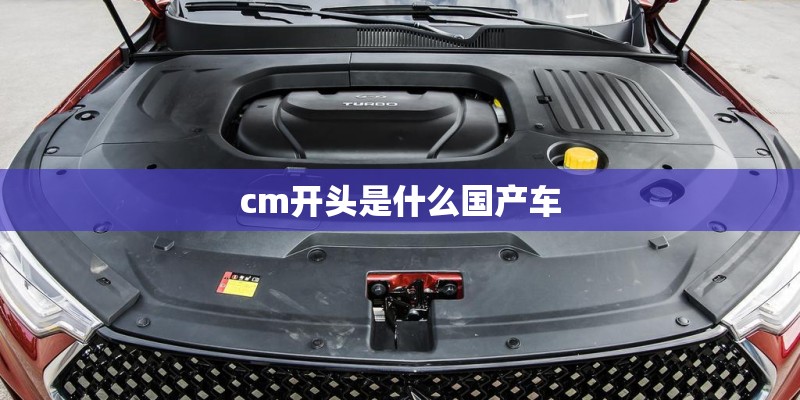 cm开头是什么国产车