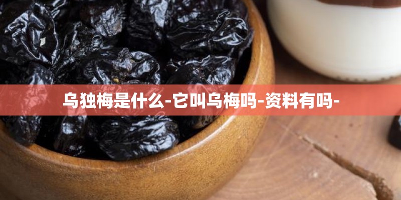 乌独梅是什么-它叫乌梅吗-资料有吗-