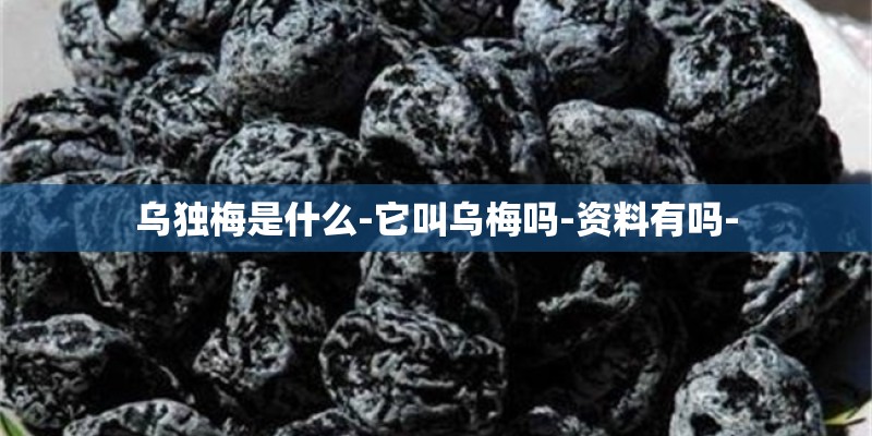 乌独梅是什么-它叫乌梅吗-资料有吗-