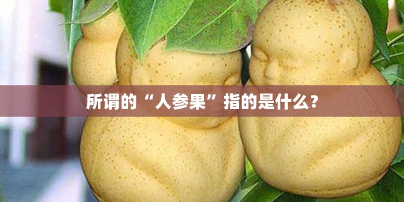 所谓的“人参果”指的是什么？