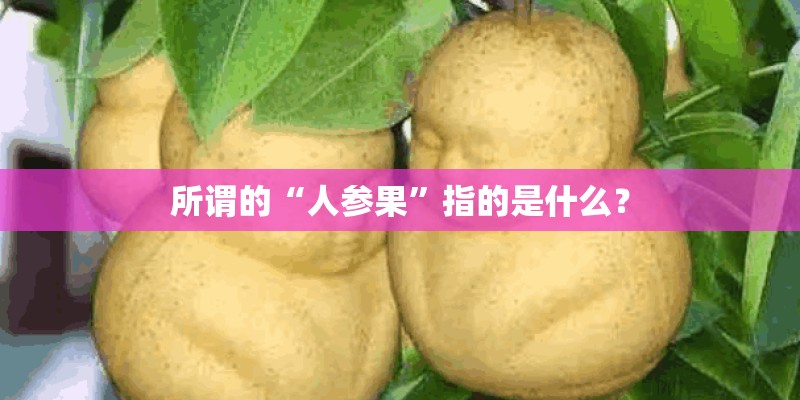 所谓的“人参果”指的是什么？