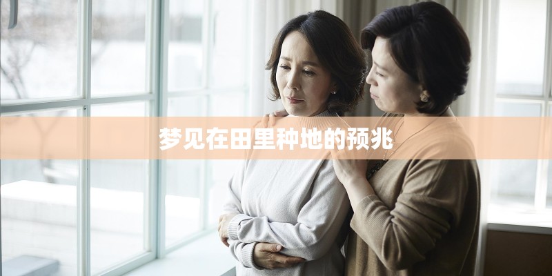 梦见在田里种地的预兆