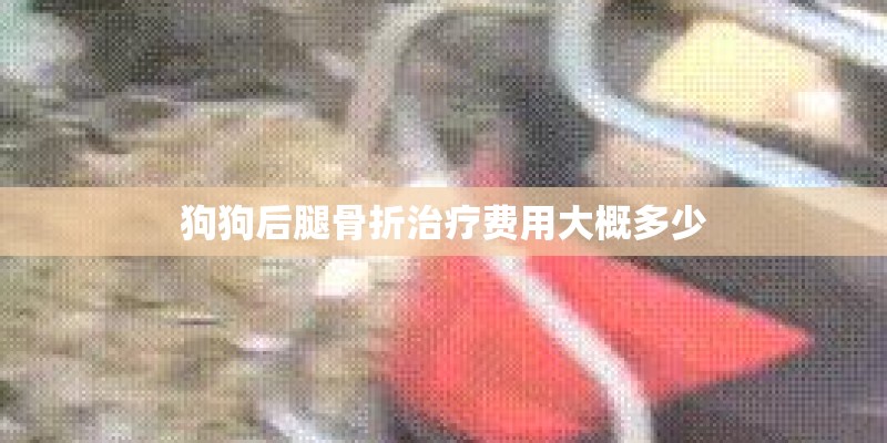 成都装修公司前十强排名