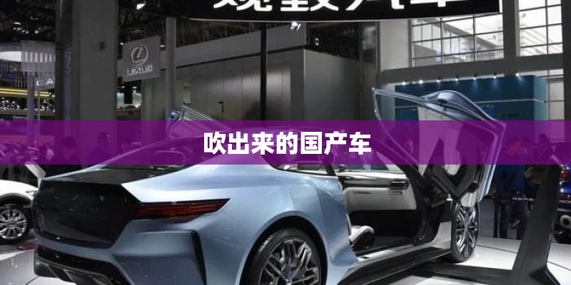 吹出来的国产车