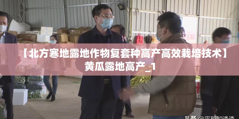 【北方寒地露地作物复套种高产高效栽培技术】黄瓜露地高产_1 【北方寒地露地作物复套种高产高效栽培技术】黄瓜露地高产_1