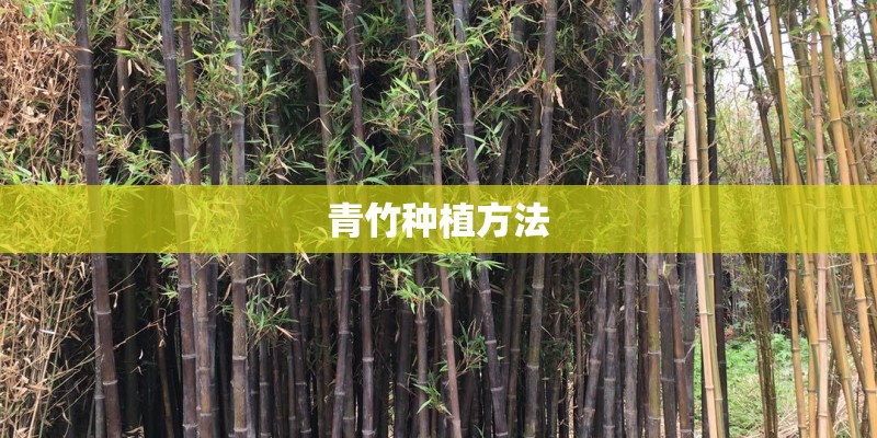 平遥今天24小时的天气怎么样