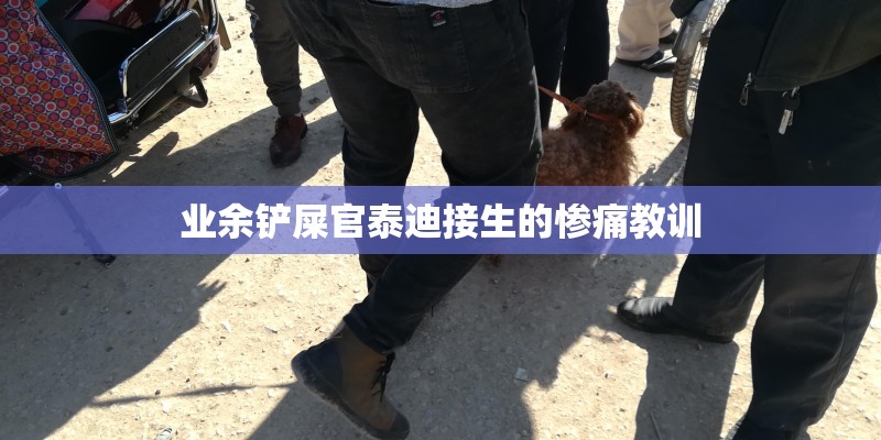 业余铲屎官泰迪接生的惨痛教训