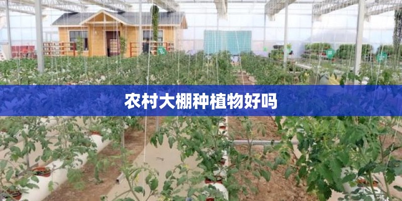 衡阳龙江阳光城值得买吗？