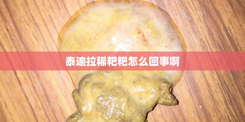 泰迪拉稀粑粑怎么回事啊