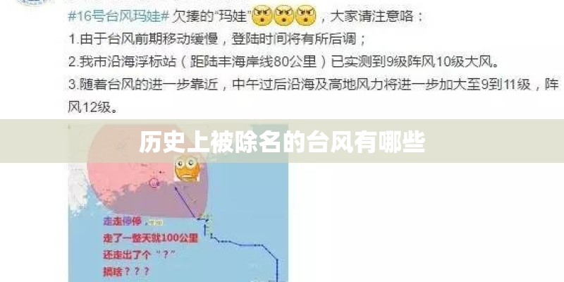 历史上被除名的台风有哪些