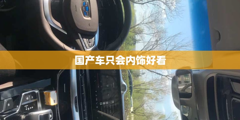 国产车只会内饰好看