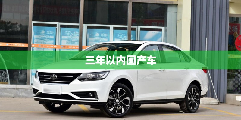 三年以内国产车