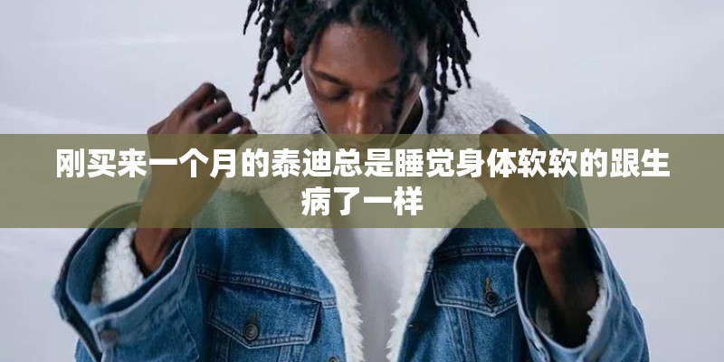 刚买来一个月的泰迪总是睡觉身体软软的跟生病了一样