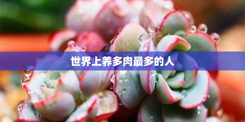 世界上养多肉最多的人 世界上养多肉最多的人