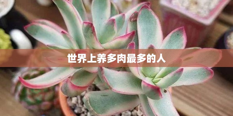 世界上养多肉最多的人 世界上养多肉最多的人
