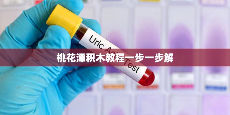 桃花潭积木教程一步一步解