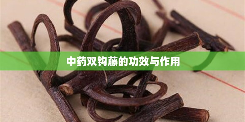 中药双钩藤的功效与作用
