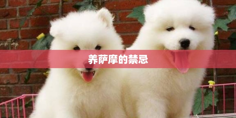 养萨摩的禁忌
