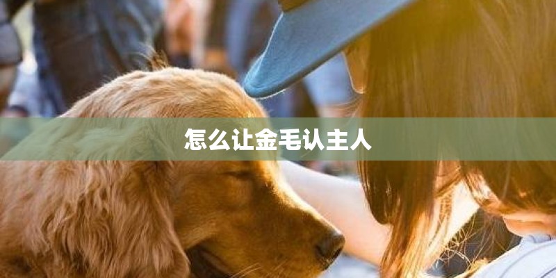 怎么让金毛认主人