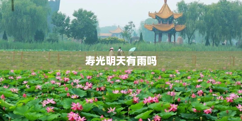 寿光明天有雨吗