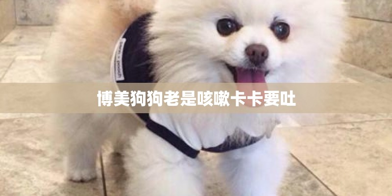 博美狗狗老是咳嗽卡卡要吐