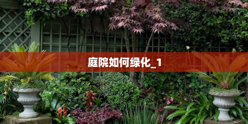 庭院如何绿化_1