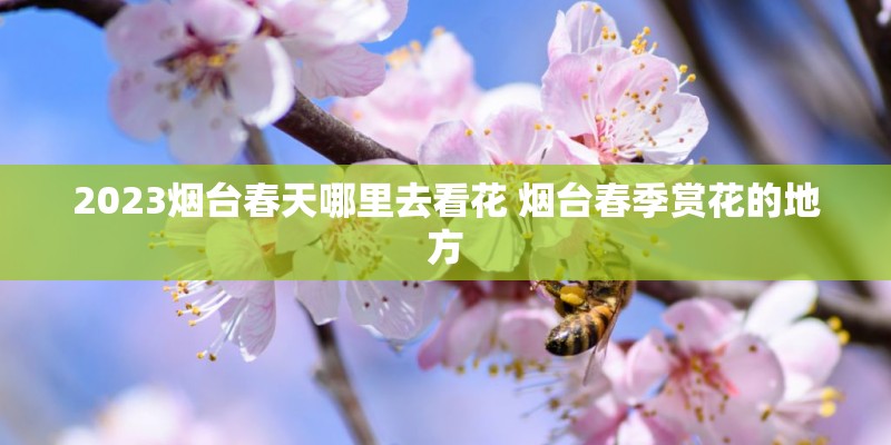 2023烟台春天哪里去看花 烟台春季赏花的地方