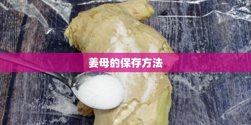 姜母的保存方法