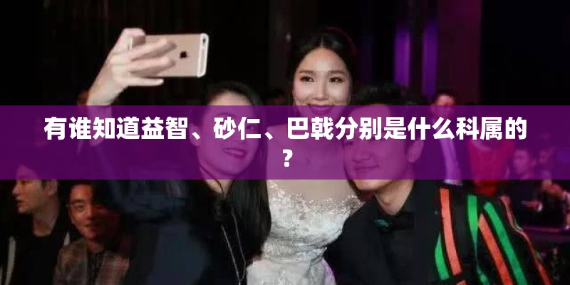 有谁知道益智、砂仁、巴戟分别是什么科属的？