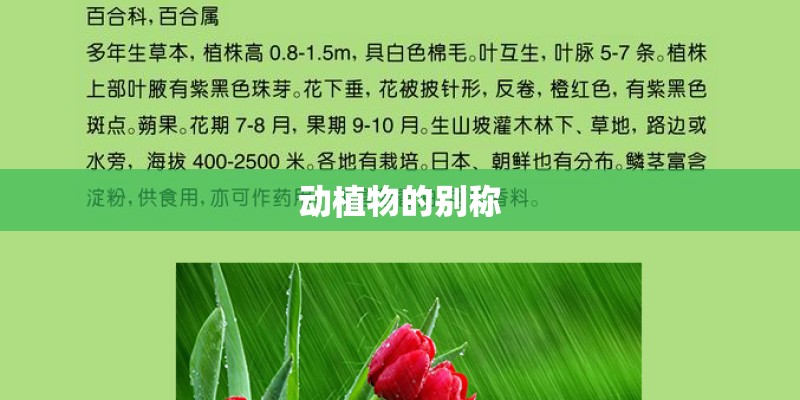 动植物的别称