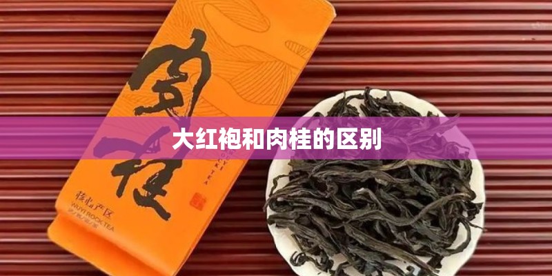 大红袍和肉桂的区别