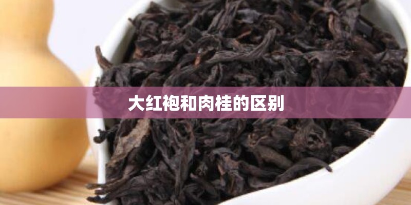 大红袍和肉桂的区别