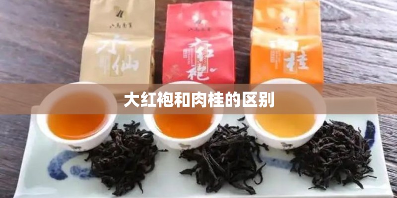 大红袍和肉桂的区别