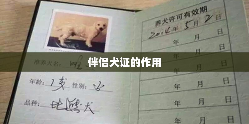 伴侣犬证的作用