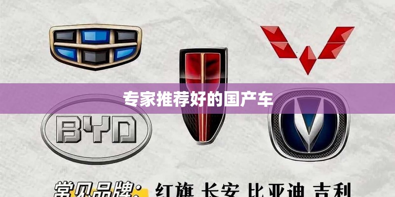 专家推荐好的国产车
